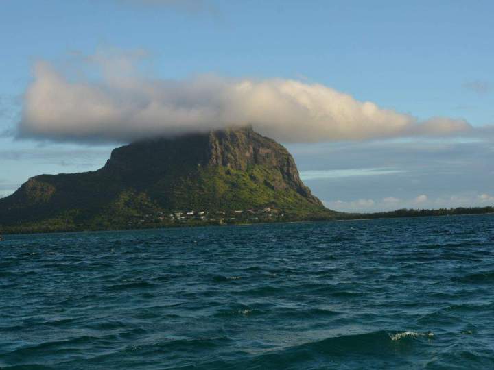 Dolphin swimming and lagoon discovery excursion Mauritius
