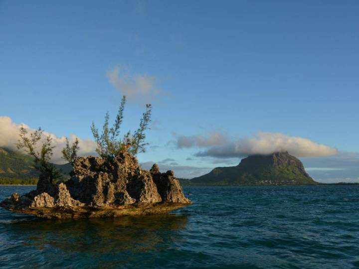 Dolphin swimming and lagoon discovery excursion Mauritius