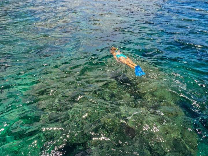 Dolphin swimming and lagoon discovery excursion Mauritius