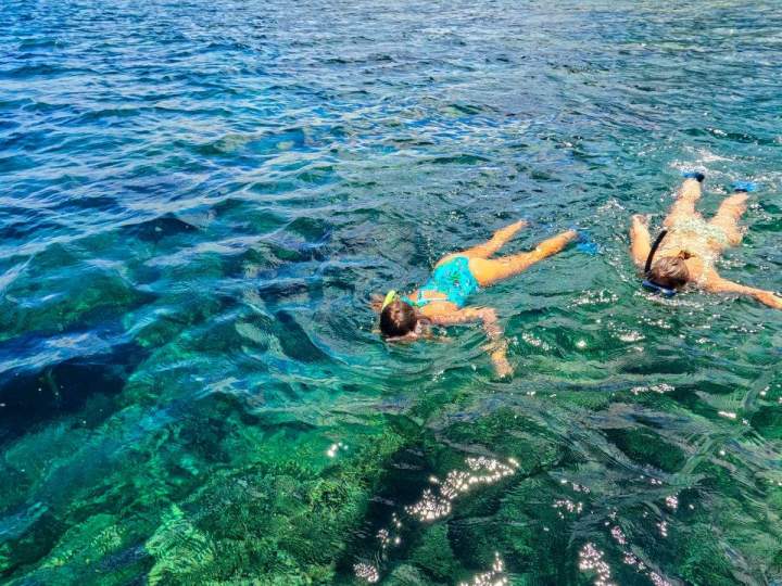 Découvrez les trésors de la barrière de corail, riches en poissons colorés et coraux fascinants