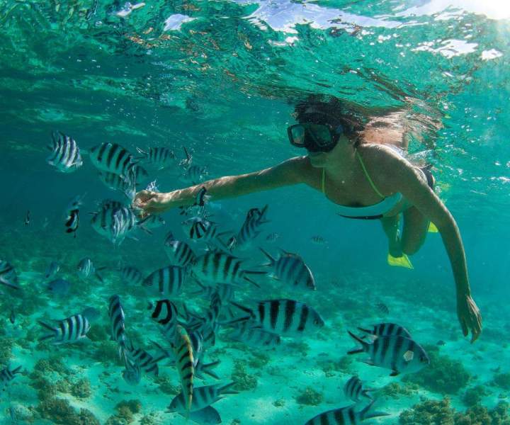 Snorkeling, Black River